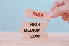 Risk Management for Organisations